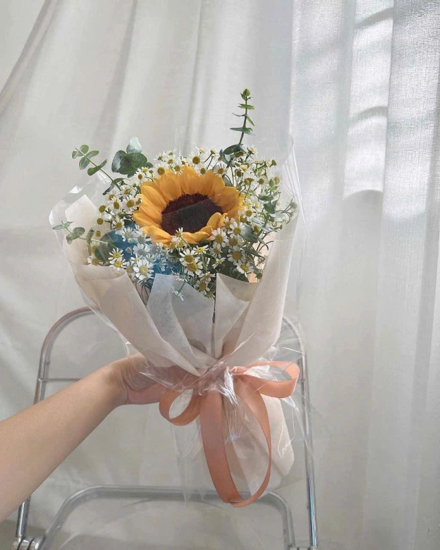 Tốt Nghiệp 1