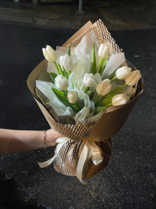 Tulip Trắng Đơn Giản 11