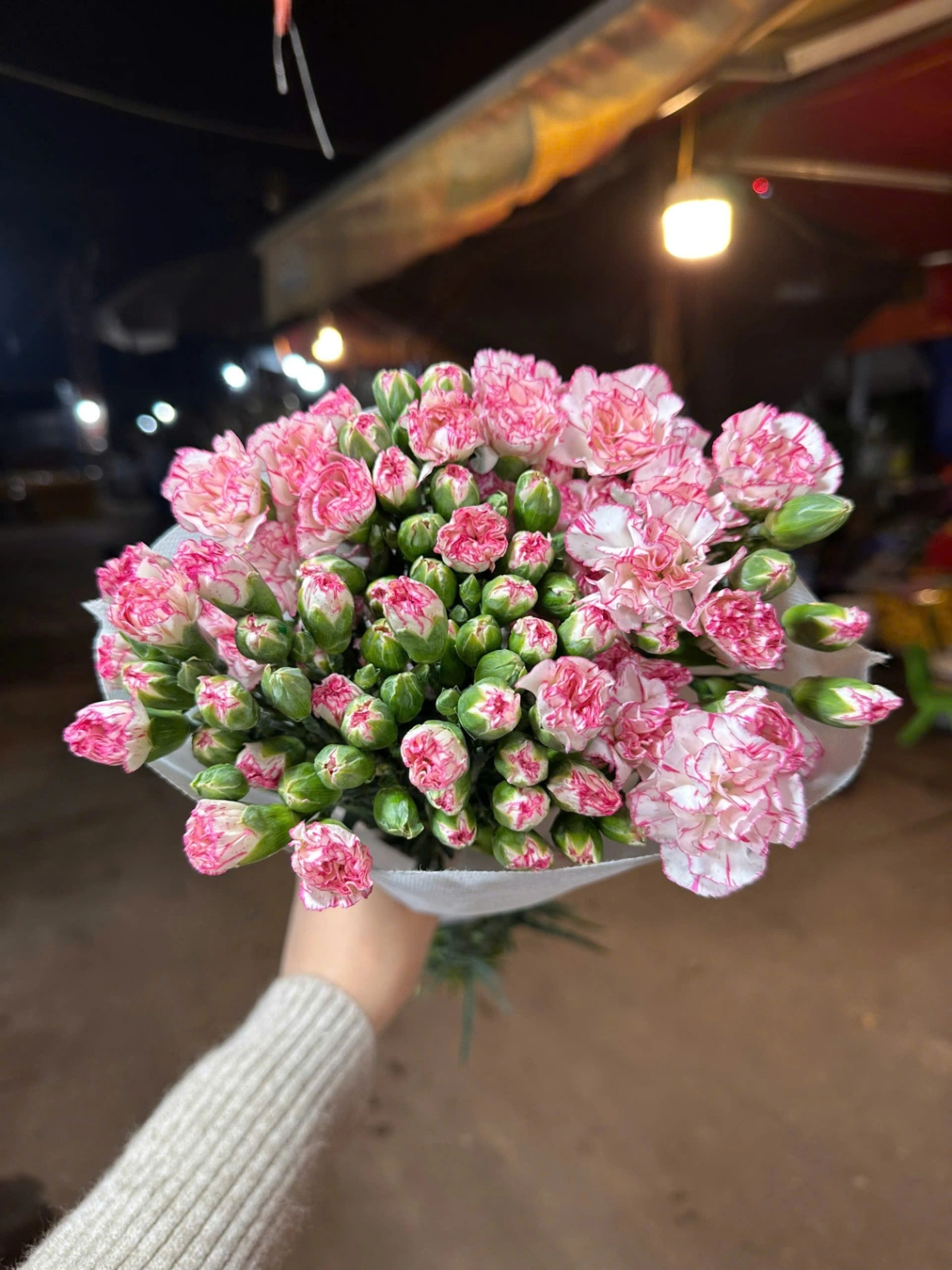 Hoa Phăng Chùm  3