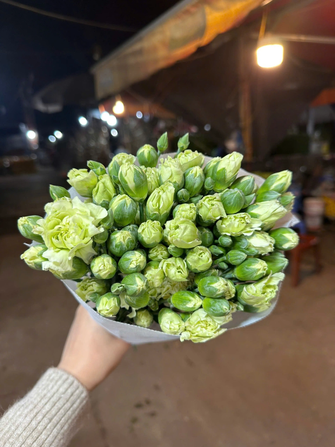 Hoa Phăng Chùm  4